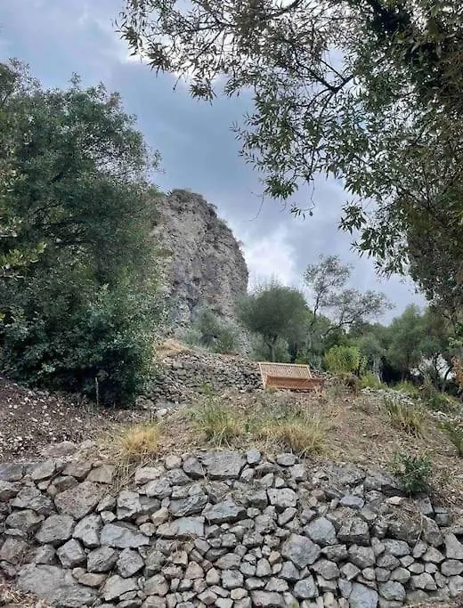 Villa Des Arts - Taormina Holiday home